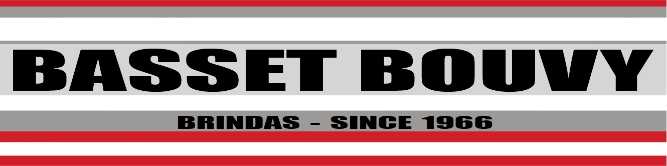 logo-BASSET BOUVY BATIMENT