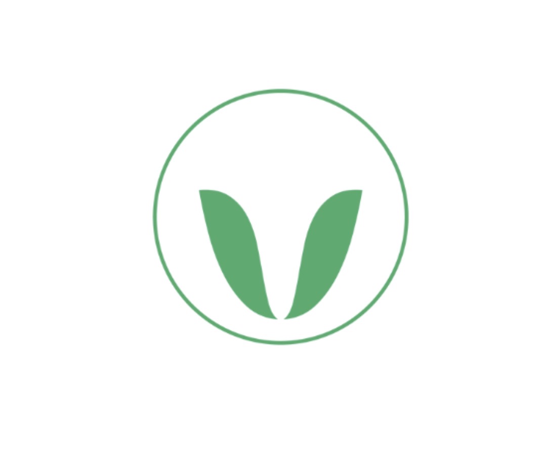logo-VEREBO LYON OUEST