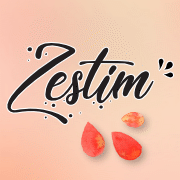 logo-ZESTIM'